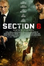 Section 8 (2022)