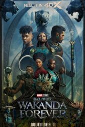 Black Panther: Wakanda Forever (2022)