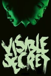 Visible Secret (2001)