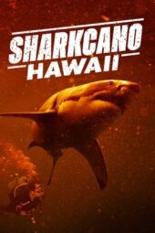 Sharkcano: Hawaii (2023)